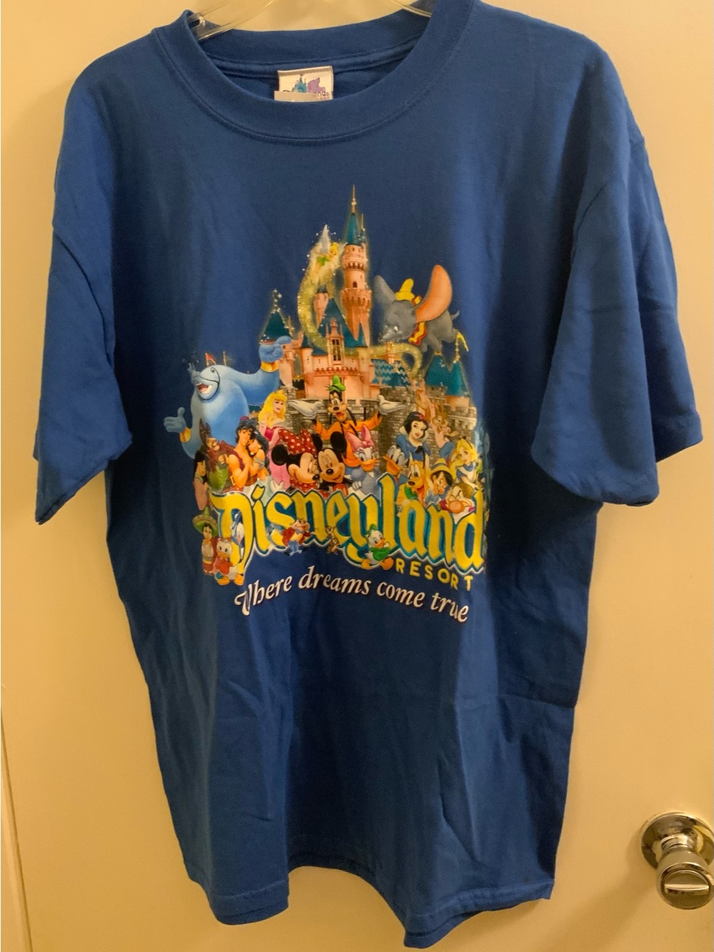 Disney Y2K Blue Disneyland Resort Castle & Characters Graphic Tee